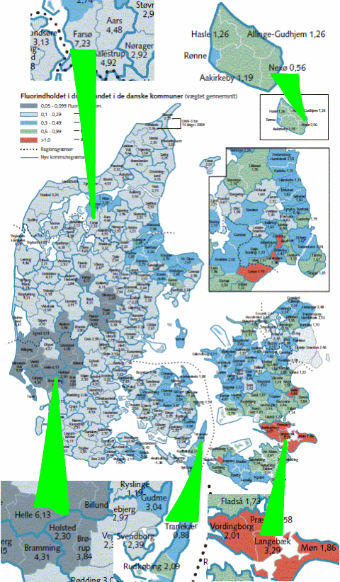 Fluor og caries i Danmark, Kim Ekstrand, 2004
