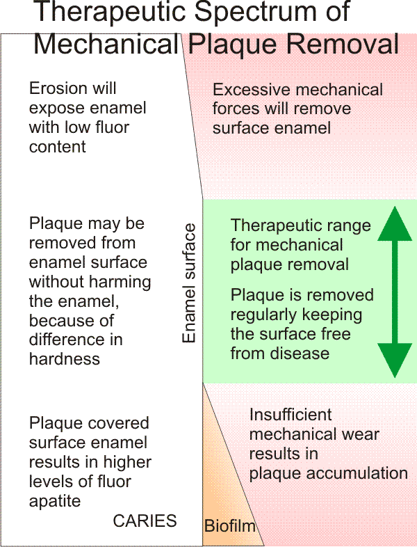 Illustration af effekten af mekanisk plakfjernelse
Det terapeutiske spektrum. Benny Kaufmann Solbirk.