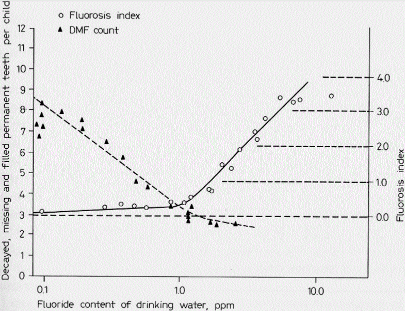 Dean HT, Arnold FA, Elvove E.
Domestic water and dental caries,
V, additional studies of the relation of fluoride domestic waters to dental
caries experience in 4425 white children aged 12 to 14 years of 13 cities in 4 states.
Publ Health Rep. 1942;57:1155–1179