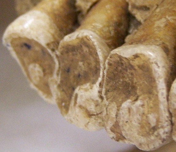 Kraftigt slid i naturen