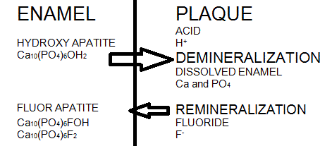 Kemiske reaktioner på emalje-plak-grænsen.